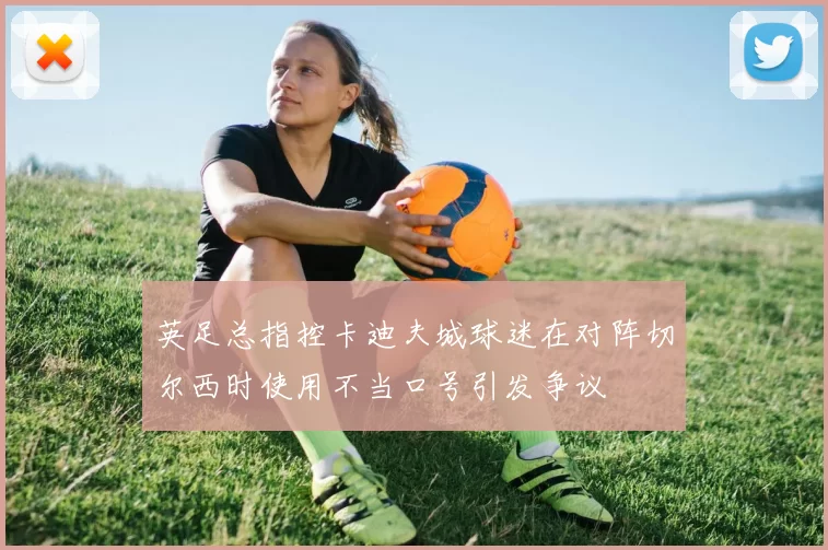 英足总指控卡迪夫城球迷在对阵切尔西时使用不当口号引发争议